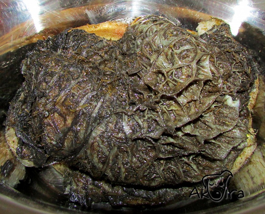 BD Yummy Hovězí dršťky zelené v kuse 1 kg