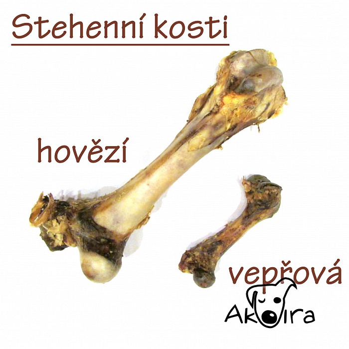 Hovězí stehenní kost sušená