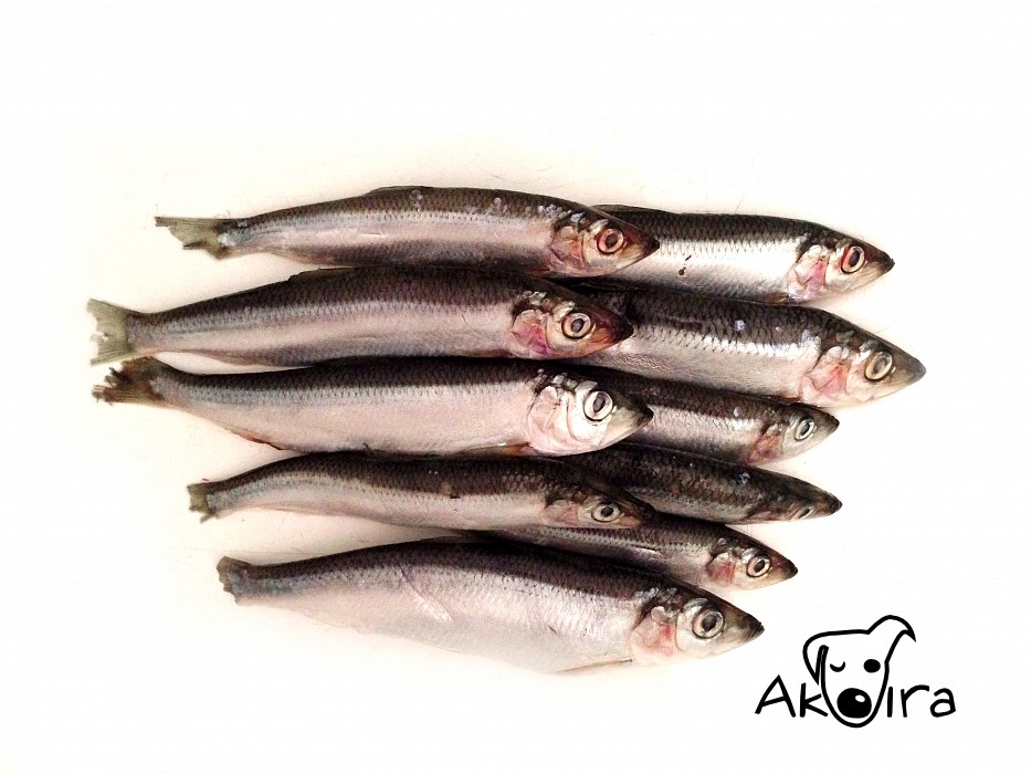 Sleď malý celý nekuchaný 1 kg