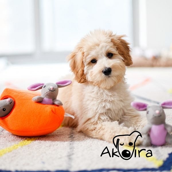 ZippyPaws Burrow Králíci v mrkvi 23 cm