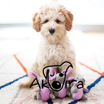 ZippyPaws Burrow Králíci v mrkvi 23 cm